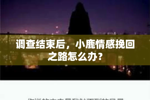 调查结束后，小鹿情感挽回之路怎么办？