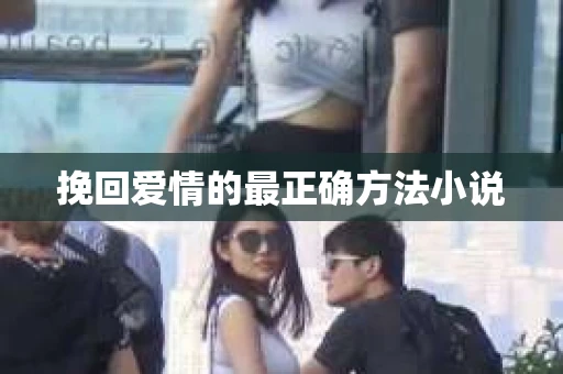 挽回爱情的最正确方法小说