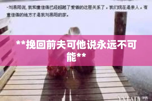 **挽回前夫可他说永远不可能**