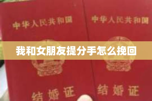 我和女朋友提分手怎么挽回
