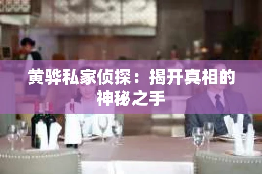 黄骅私家侦探：揭开真相的神秘之手