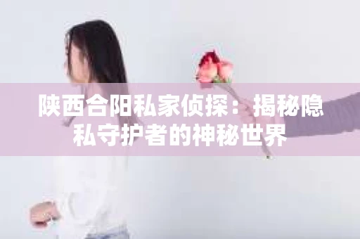 陕西合阳私家侦探：揭秘隐私守护者的神秘世界