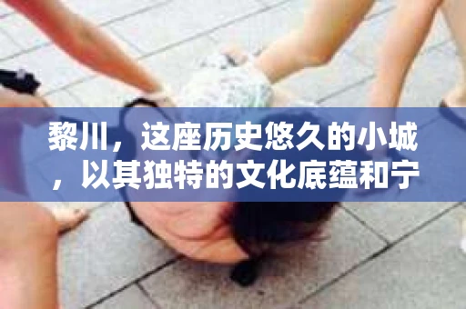 黎川，这座历史悠久的小城，以其独特的文化底蕴和宁静的生活节奏吸引着无数游客。然而，在这样一个看似平静的城市里，你是否会好奇，有没有私家侦探机构的存在呢？今天，就让我带你一探究竟。