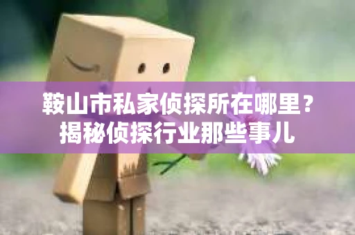 鞍山市私家侦探所在哪里？揭秘侦探行业那些事儿