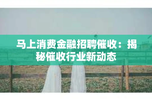 马上消费金融招聘催收：揭秘催收行业新动态