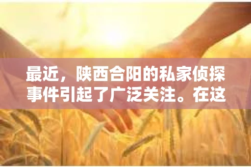 最近，陕西合阳的私家侦探事件引起了广泛关注。在这个信息爆炸的时代，隐私保护显得尤为重要。今天，我们就来聊聊这个事件，看看它背后的一些故事。