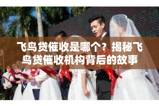 飞鸟贷催收是哪个？揭秘飞鸟贷催收机构背后的故事