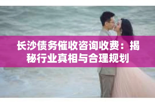 长沙债务催收咨询收费：揭秘行业真相与合理规划