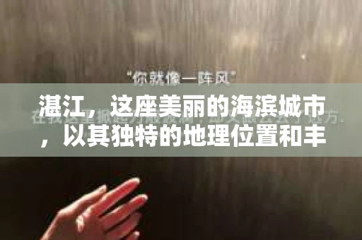 湛江，这座美丽的海滨城市，以其独特的地理位置和丰富的文化底蕴吸引着无数游客。然而，在繁忙的生活中，总有一些问题让人困扰，比如，当个人隐私或财产受到侵犯时，我们是否可以寻求私家侦探的帮助呢？那么，请问湛江有私家侦探吗？
