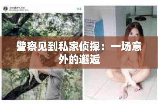 警察见到私家侦探：一场意外的邂逅