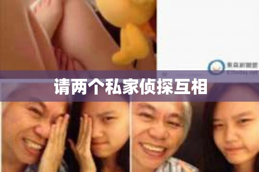 请两个私家侦探互相
