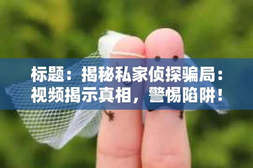 标题：揭秘私家侦探骗局：视频揭示真相，警惕陷阱！