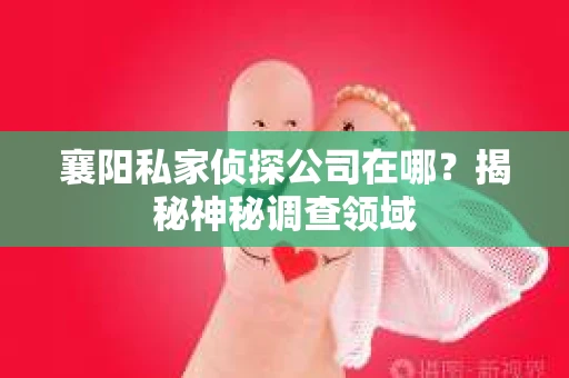 襄阳私家侦探公司在哪？揭秘神秘调查领域