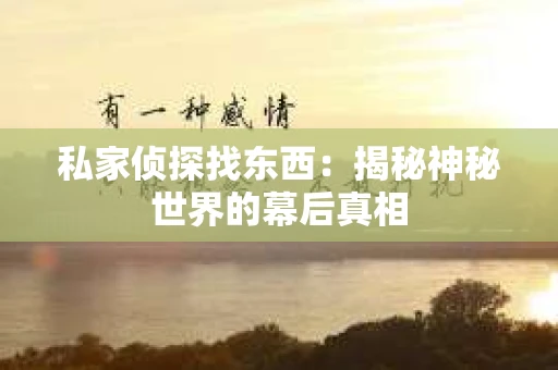 私家侦探找东西：揭秘神秘世界的幕后真相
