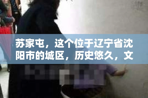 苏家屯，这个位于辽宁省沈阳市的城区，历史悠久，文化底蕴深厚。近年来，随着社会的发展，人们对于私家侦探的需求也逐渐增加。那么，苏家屯有私家侦探吗？今天，我们就来聊聊这个话题。