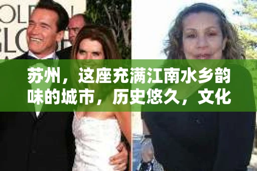 苏州，这座充满江南水乡韵味的城市，历史悠久，文化底蕴深厚。在这样一个充满故事的地方，私家侦探公司自然也不少。那么，苏州哪有私家侦探公司呢？今天，我就来给大家盘点一下。