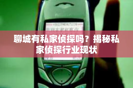 聊城有私家侦探吗？揭秘私家侦探行业现状