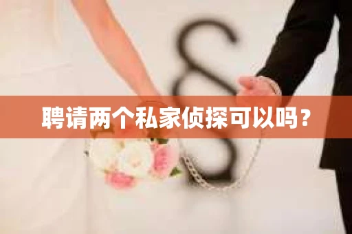 聘请两个私家侦探可以吗？