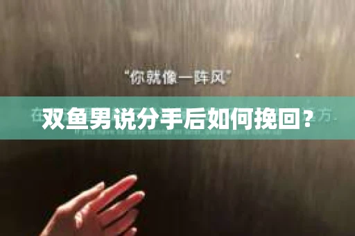 双鱼男说分手后如何挽回？