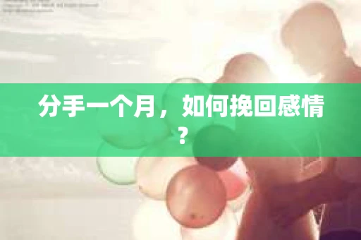 分手一个月，如何挽回感情？