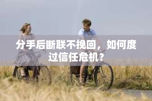 分手后断联不挽回，如何度过信任危机？