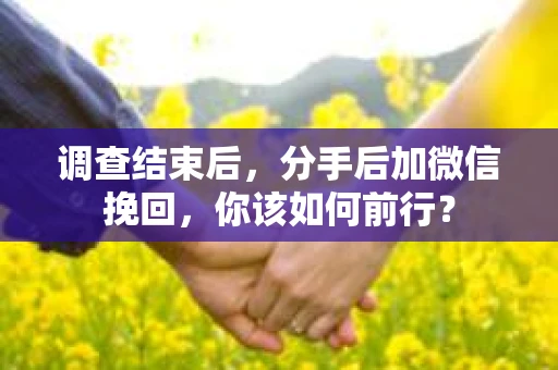调查结束后，分手后加微信挽回，你该如何前行？