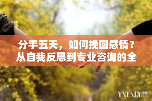 分手五天，如何挽回感情？从自我反思到专业咨询的全面解决方案