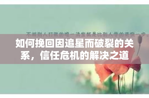 如何挽回因追星而破裂的关系，信任危机的解决之道